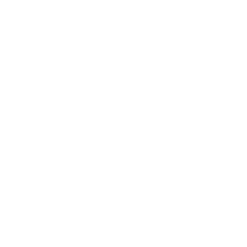 Elegance Car Detaling Noosa logo